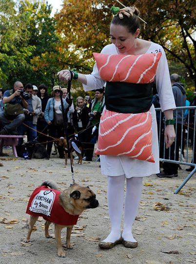 halloween costumes with dog and owner