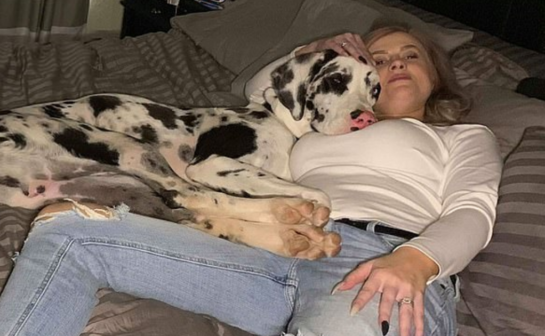Woman Shocked To Discover Her Adopted Great Dane Has 70 Teeth