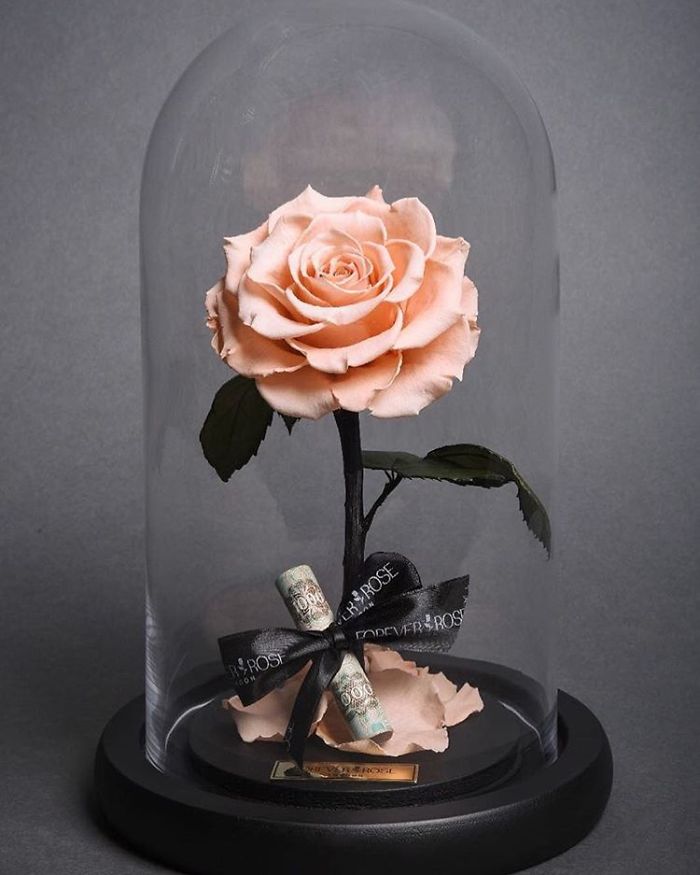 Beauty And The Beast Roses Actually Exist Stay Alive For More Than This Company Aims To Create Roses That Are Comparable The Famous Set From Beauty And Beast While It Will Cost You Around 400 Dollars Procure A