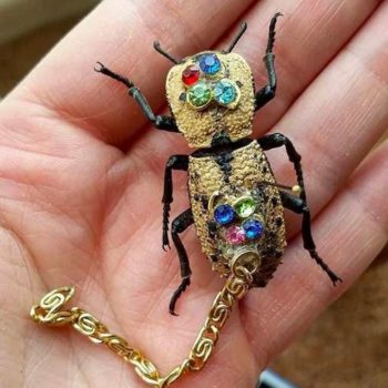 beetles gemstones goodfullness