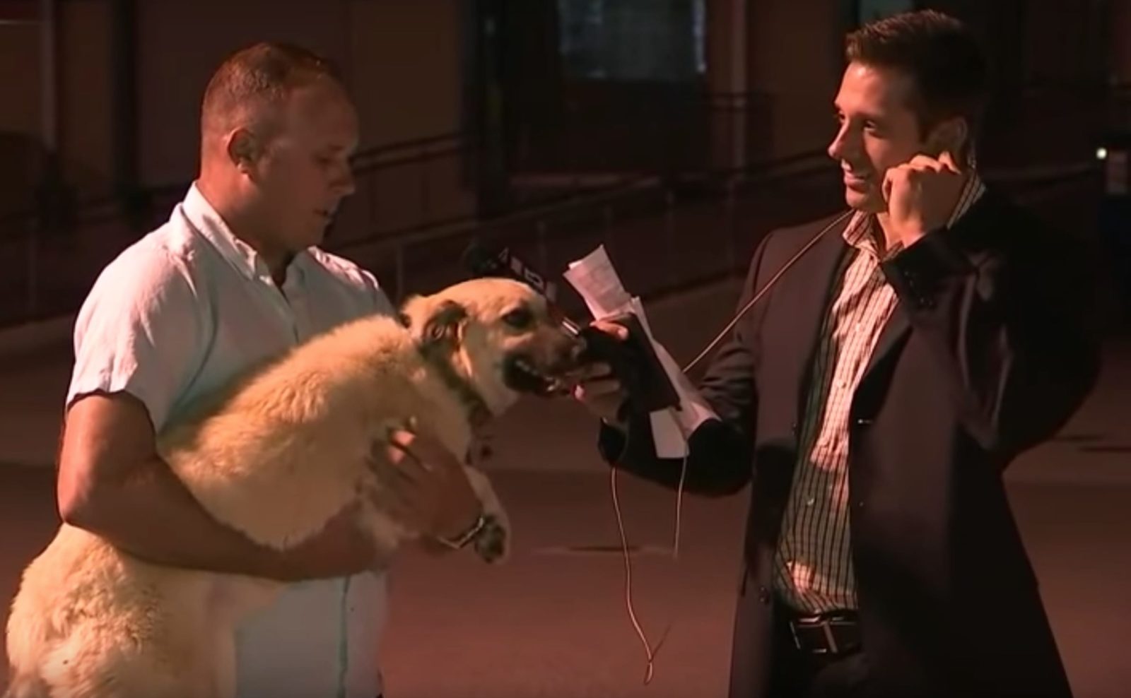 Soldier Is Worried The Dog He Saved In Iraq Won't Remember Him, Then ...