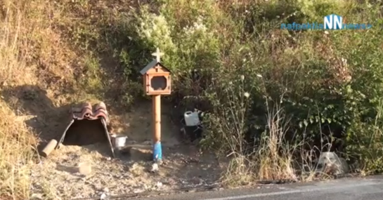 Loyal Dog Won't Leave Spot Where Owner Died In Car Crash 18 Months Ago ...