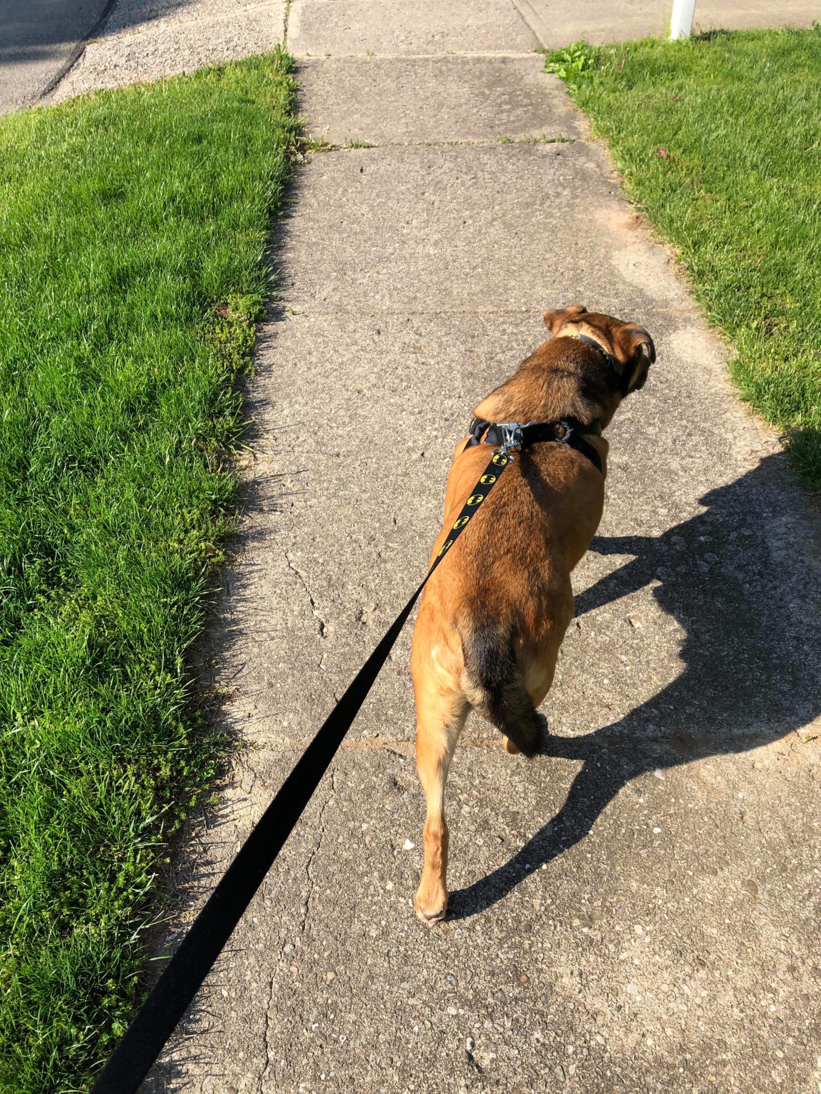 Humane Society Of Preble County Oh - ek1g99u